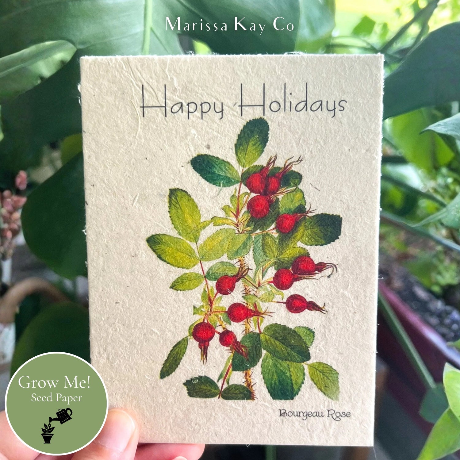 Happy Holidays Card + Personal Note – Plantable Seed Paper, Holly Berries – Single