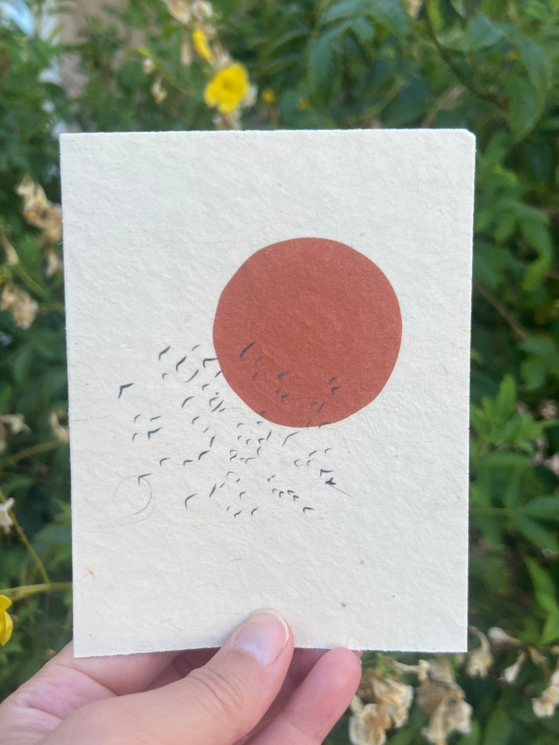 seed paper card tree free with sun and birds on it