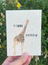 plantable greeting card with colorful giraffe on it