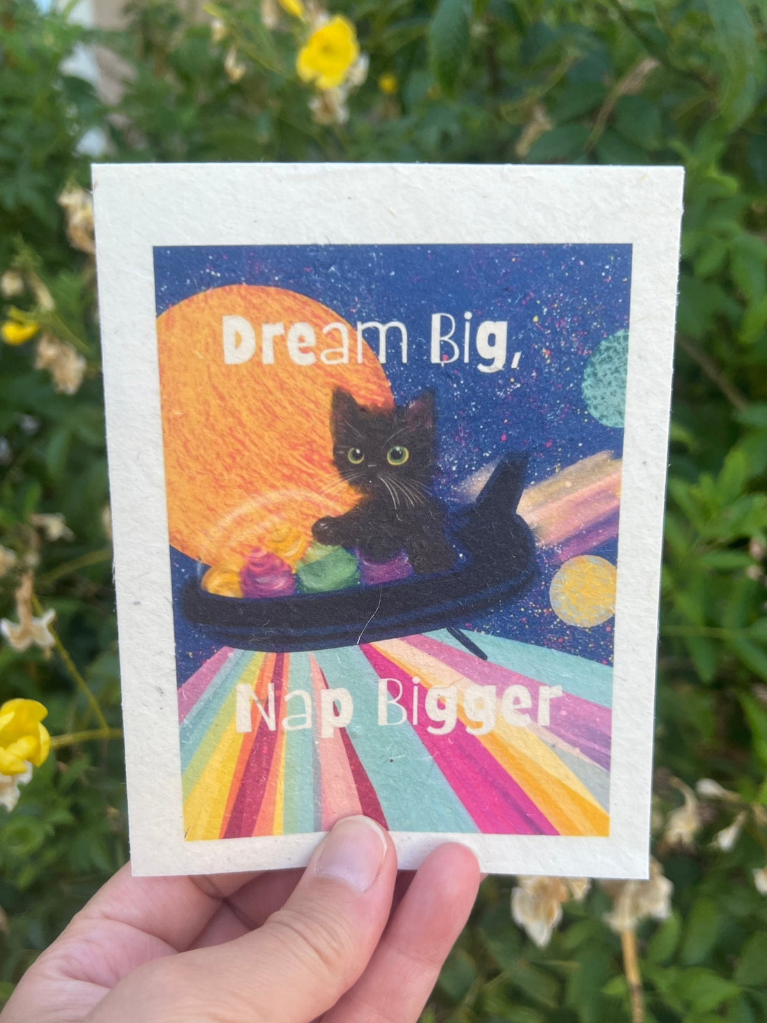 Plantable seed card with Kitty riding in a spaceship with the words Dream Big, Nap Bigger