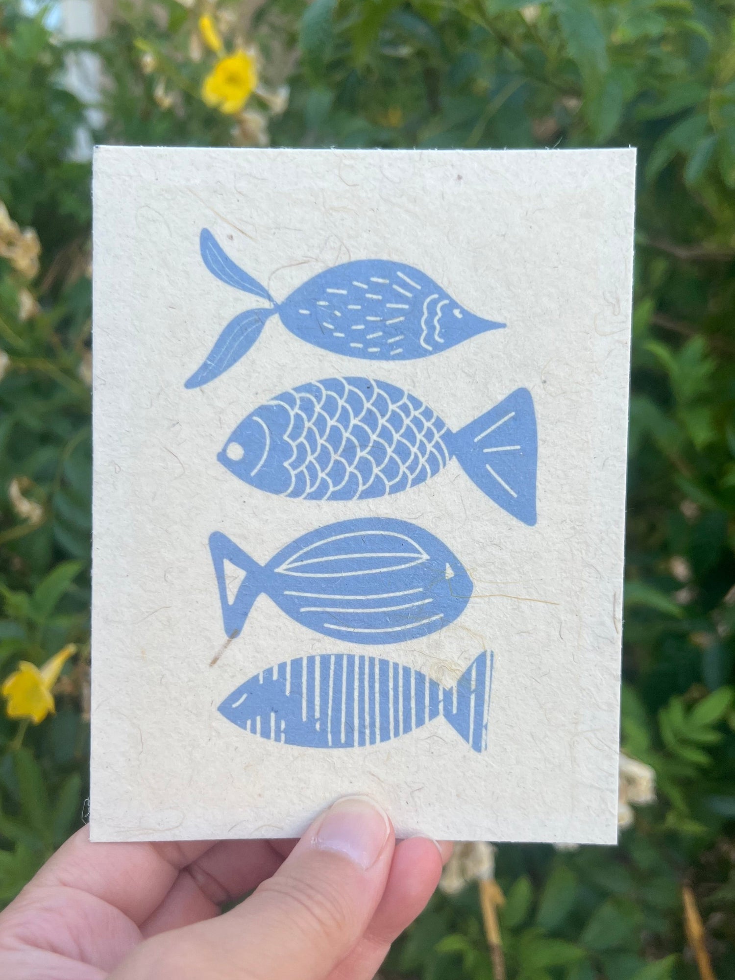 plantable greeting card with beautiful fish on it. light blue. nautical themed