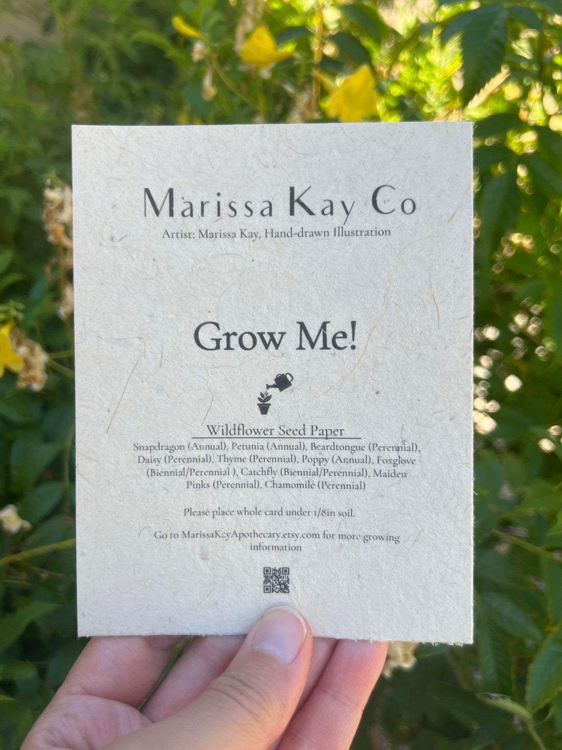 Hand-Drawn Seed Paper Greeting by Marissa Kay || Value Pack-2