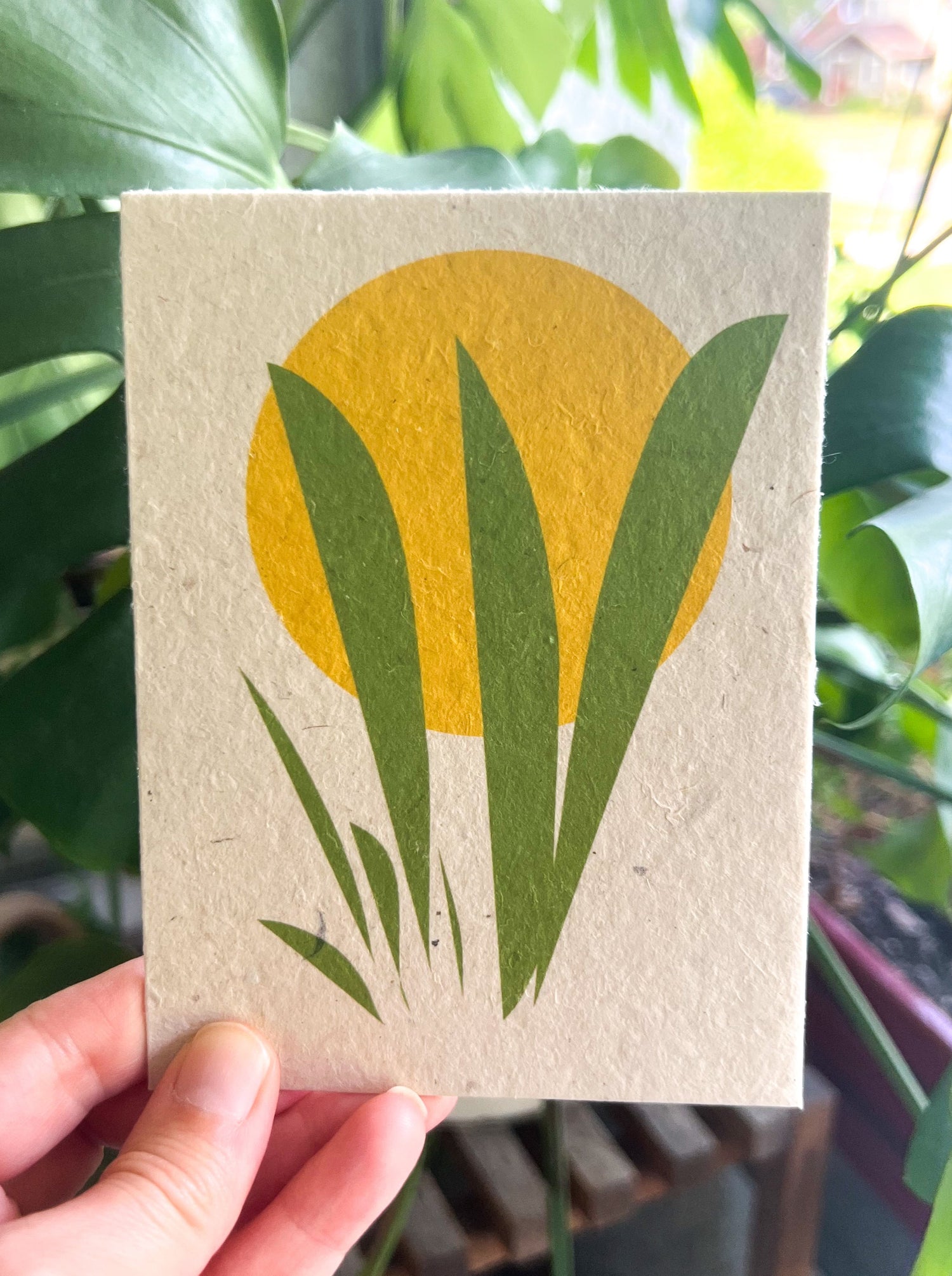 Botanical Plantable Seed Card || Zero Waste || Supports Women || Eco-friendly || M3