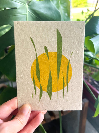 Botanical Plantable Seed Card || Zero Waste || Supports Women || Eco-friendly || M5