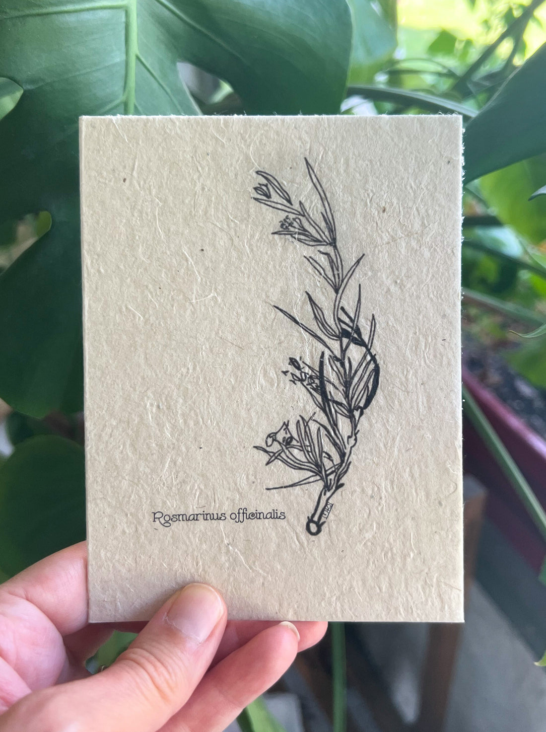 Botanical Plantable Seed Card || Zero Waste || Supports Women || Eco-friendly || MH1