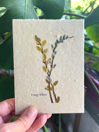 Botanical Plantable Seed Card || Zero Waste || Supports Women || Eco-friendly || MVW17