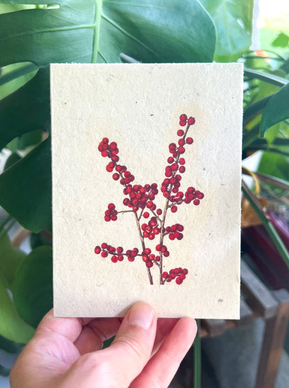 Botanical Plantable Seed Card || Zero Waste || Supports Women || Eco-friendly || MVW5