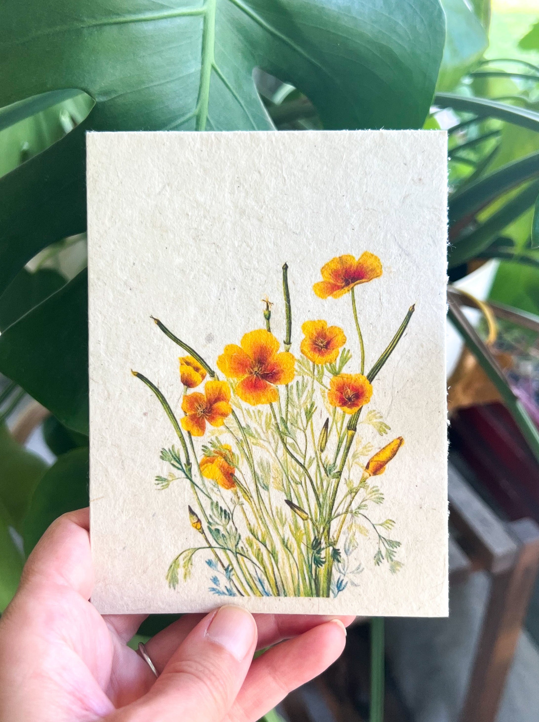 Botanical Plantable Seed Card || Zero Waste || Supports Women || Eco-friendly || MVW8