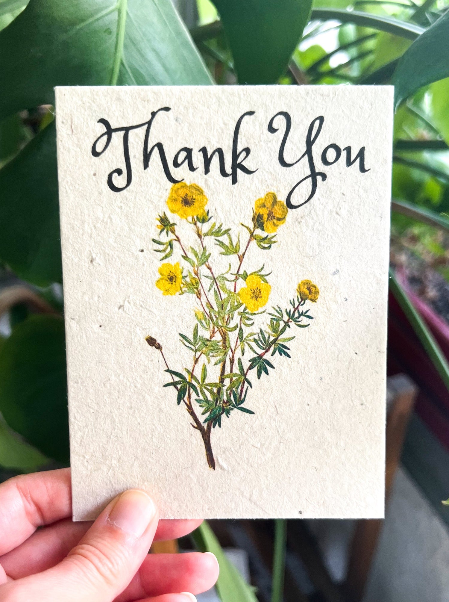 Botanical Plantable Seed Card || Zero Waste || Supports Women || Eco-friendly || MVW44
