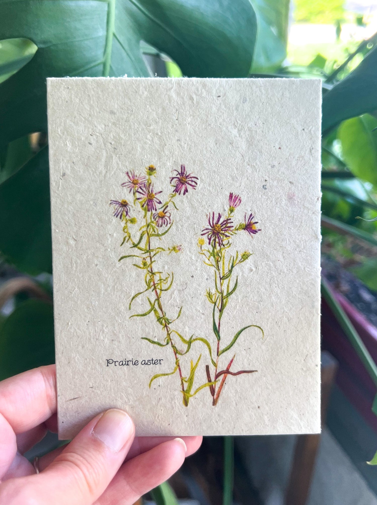 Botanical Plantable Seed Card || Zero Waste || Supports Women || Eco-friendly || MVW19
