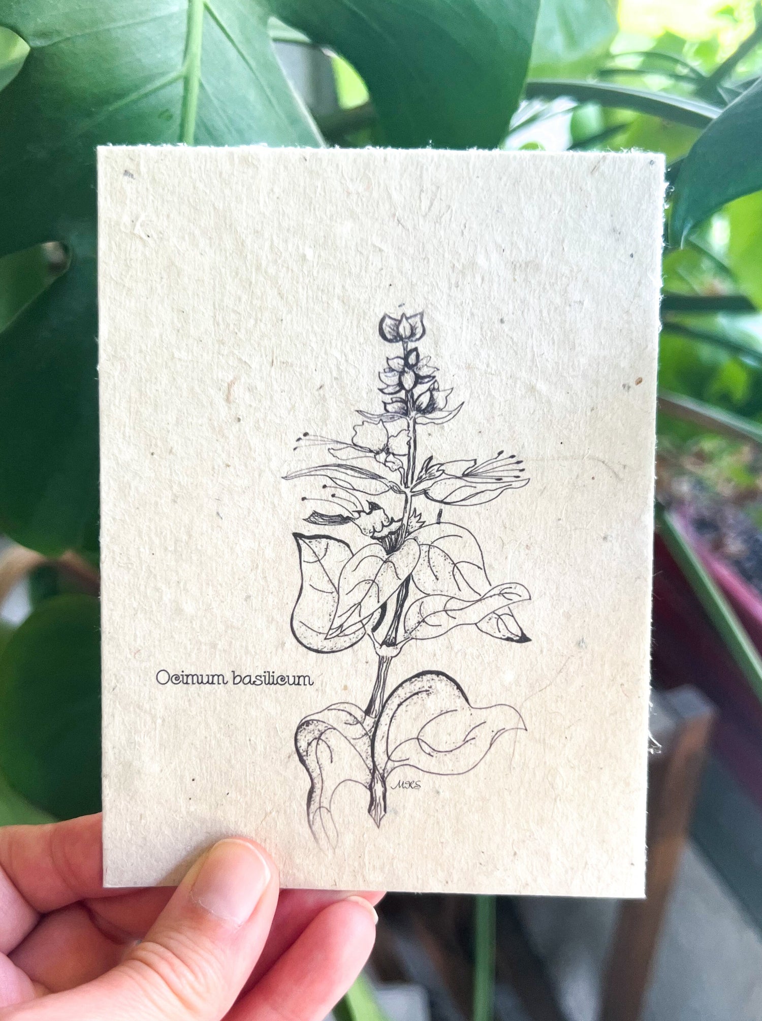 Botanical Plantable Seed Card || Zero Waste || Supports Women || Eco-friendly || MVW26