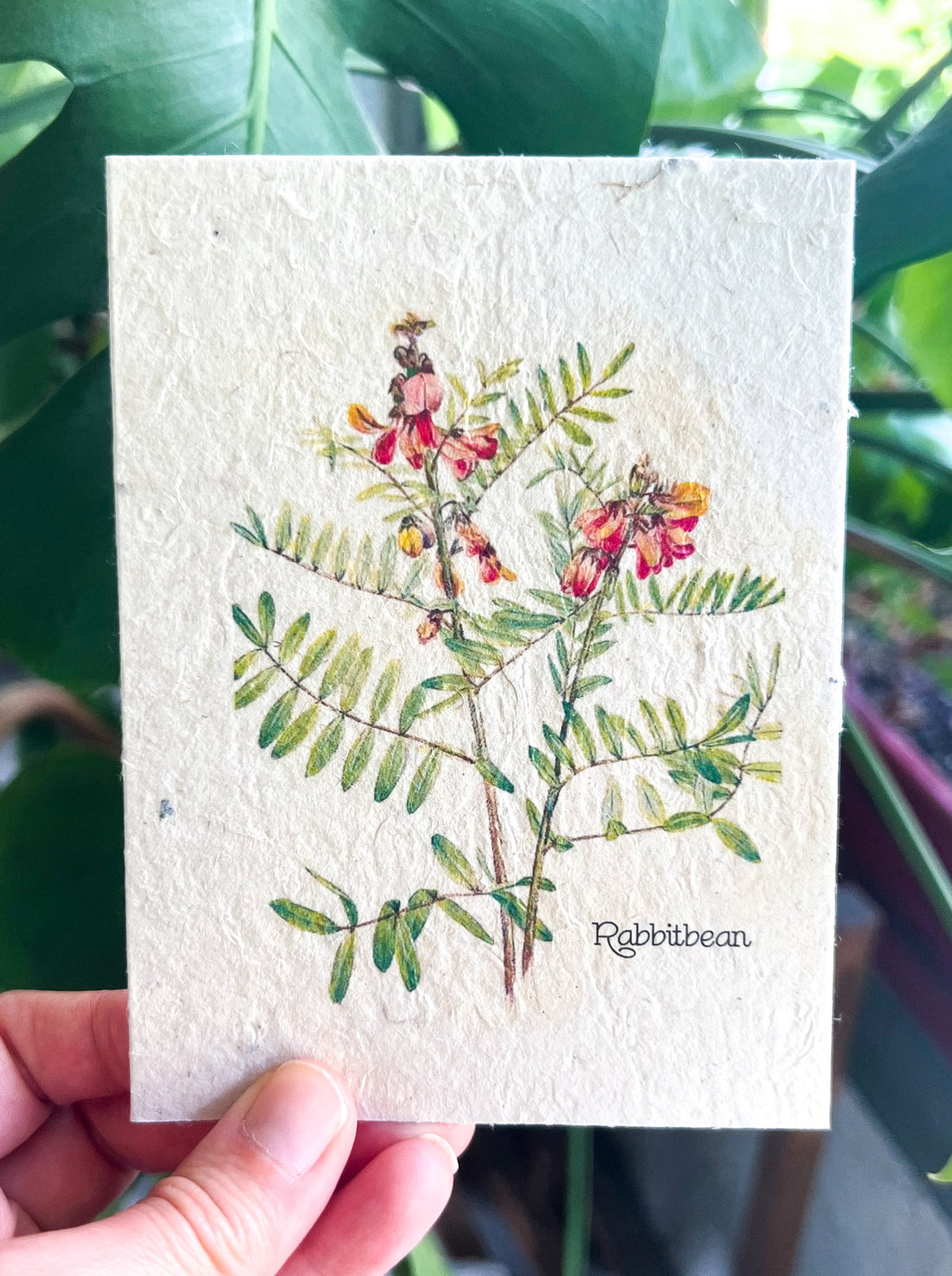 Botanical Plantable Seed Card || Zero Waste || Supports Women || Eco-friendly || MVW27