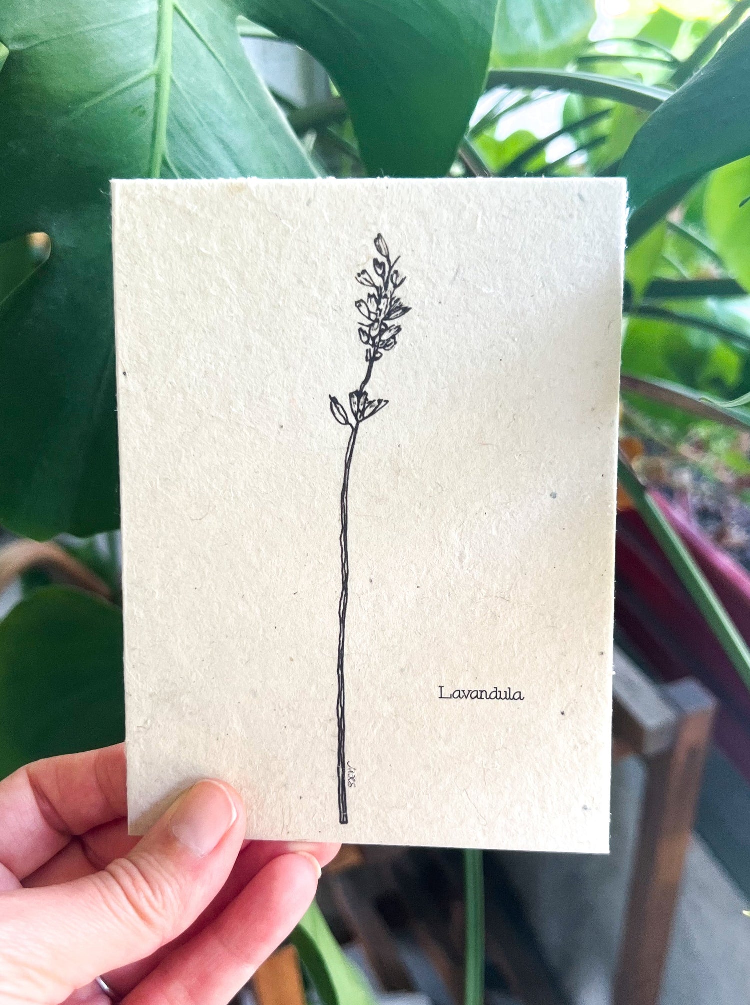 plant paper seeds Botanical Art Plantable Greeting Card on Handmade Seed Paper for All O – Marissa Kay Co