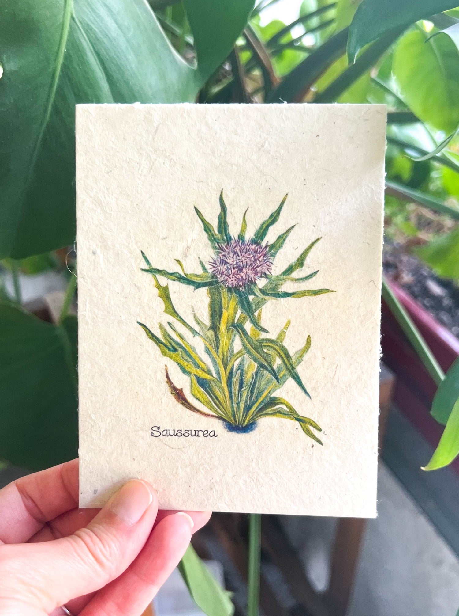 Botanical Plantable Seed Card || Zero Waste || Supports Women || Eco-friendly || MVW32