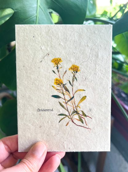 Botanical Plantable Seed Card || Zero Waste || Supports Women || Eco-friendly || MVW38