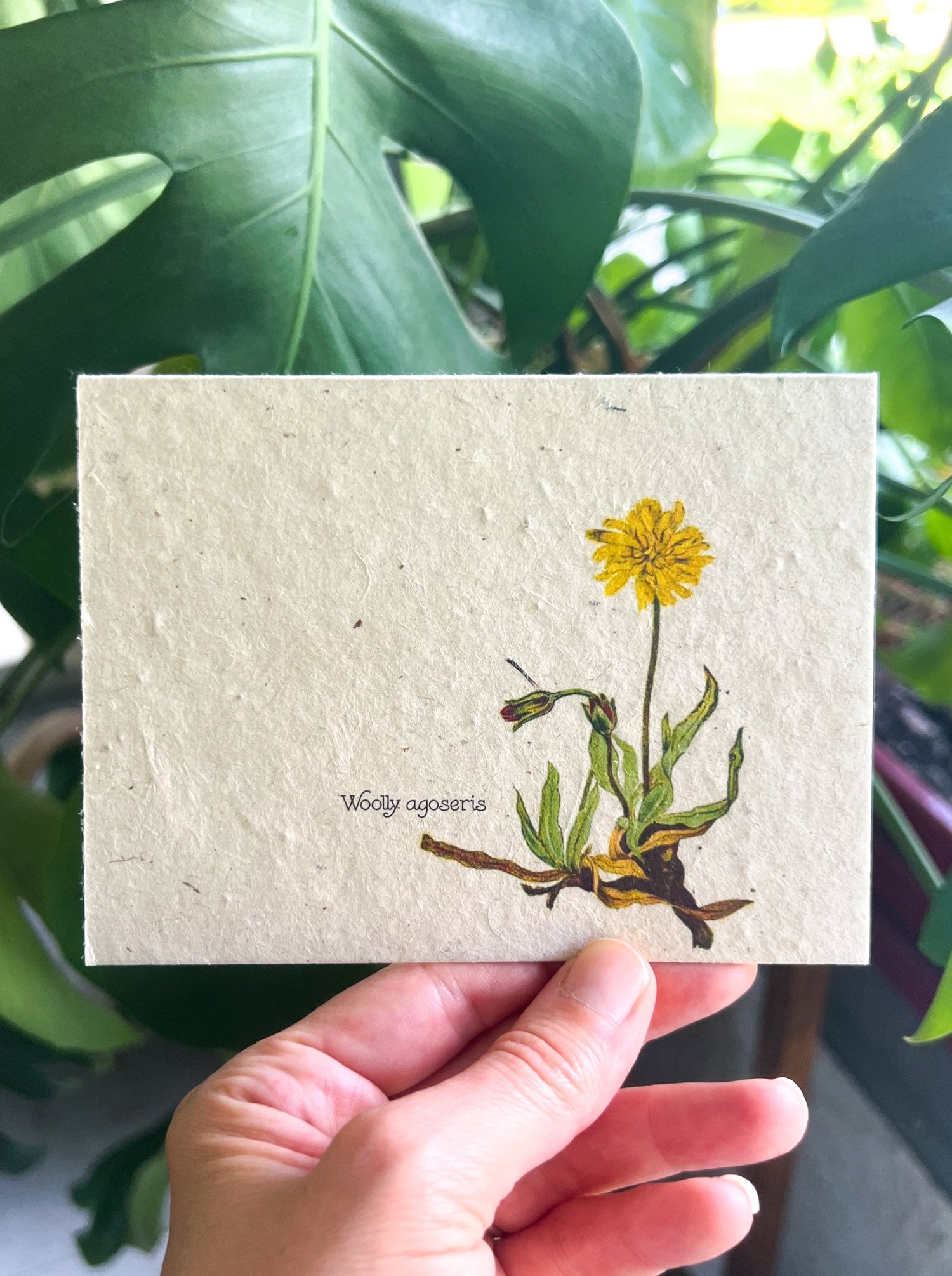 Botanical Plantable Seed Card || Zero Waste || Supports Women || Eco-friendly || MVW39
