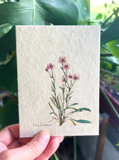 Botanical Plantable Seed Card || Zero Waste || Supports Women || Eco-friendly || MVW40