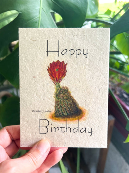 Botanical Plantable Seed Card || Zero Waste || Supports Women || Eco-friendly || MVW47