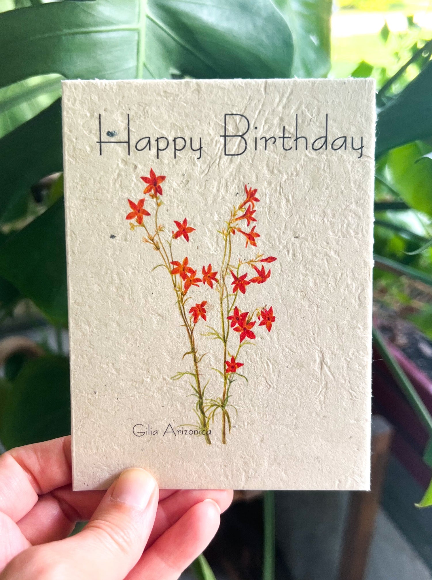Botanical Plantable Seed Card || Zero Waste || Supports Women || Eco-friendly || MVW50