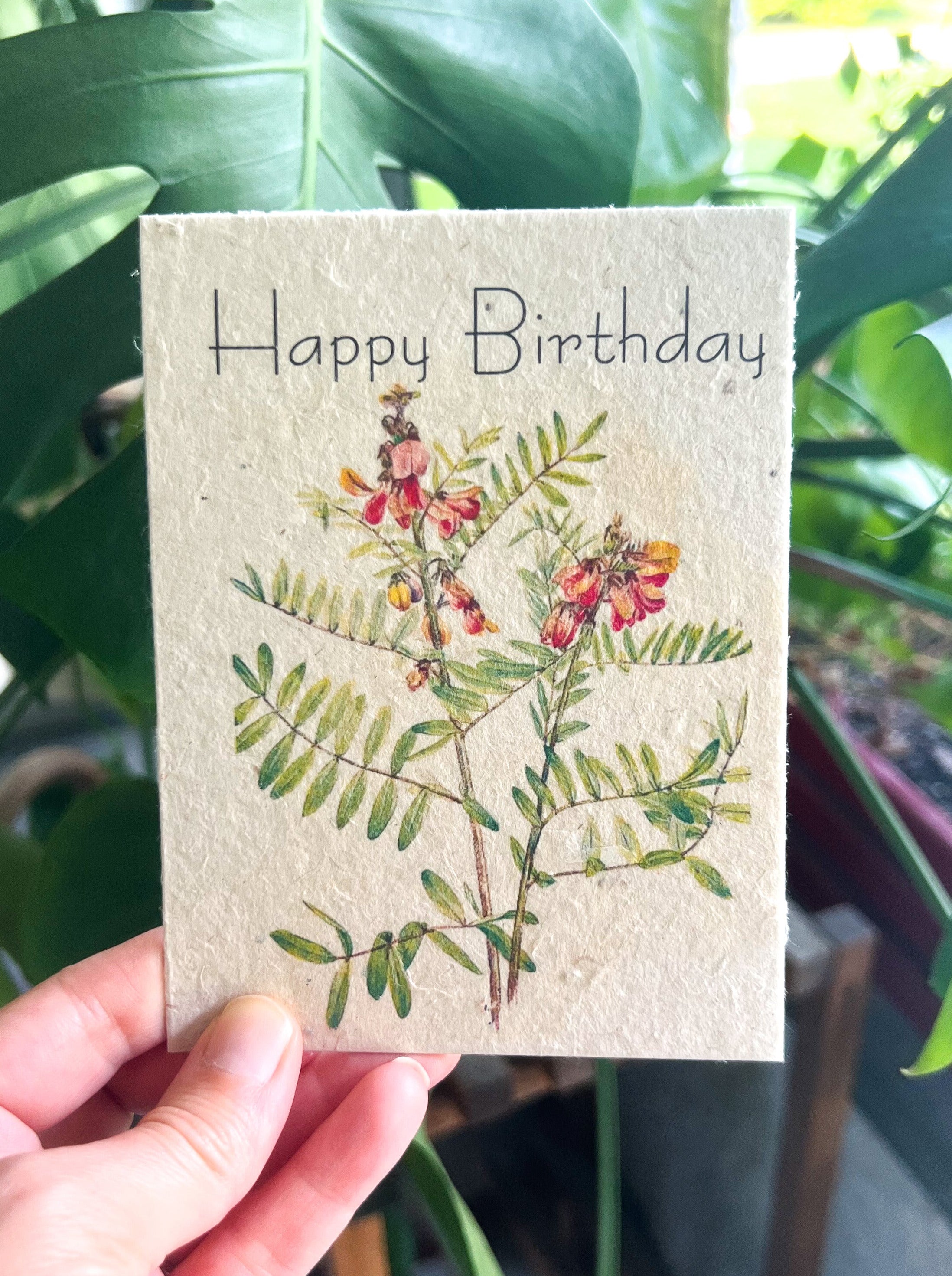 Botanical Plantable Seed Card || Zero Waste || Supports Women || Eco-friendly || MVW52