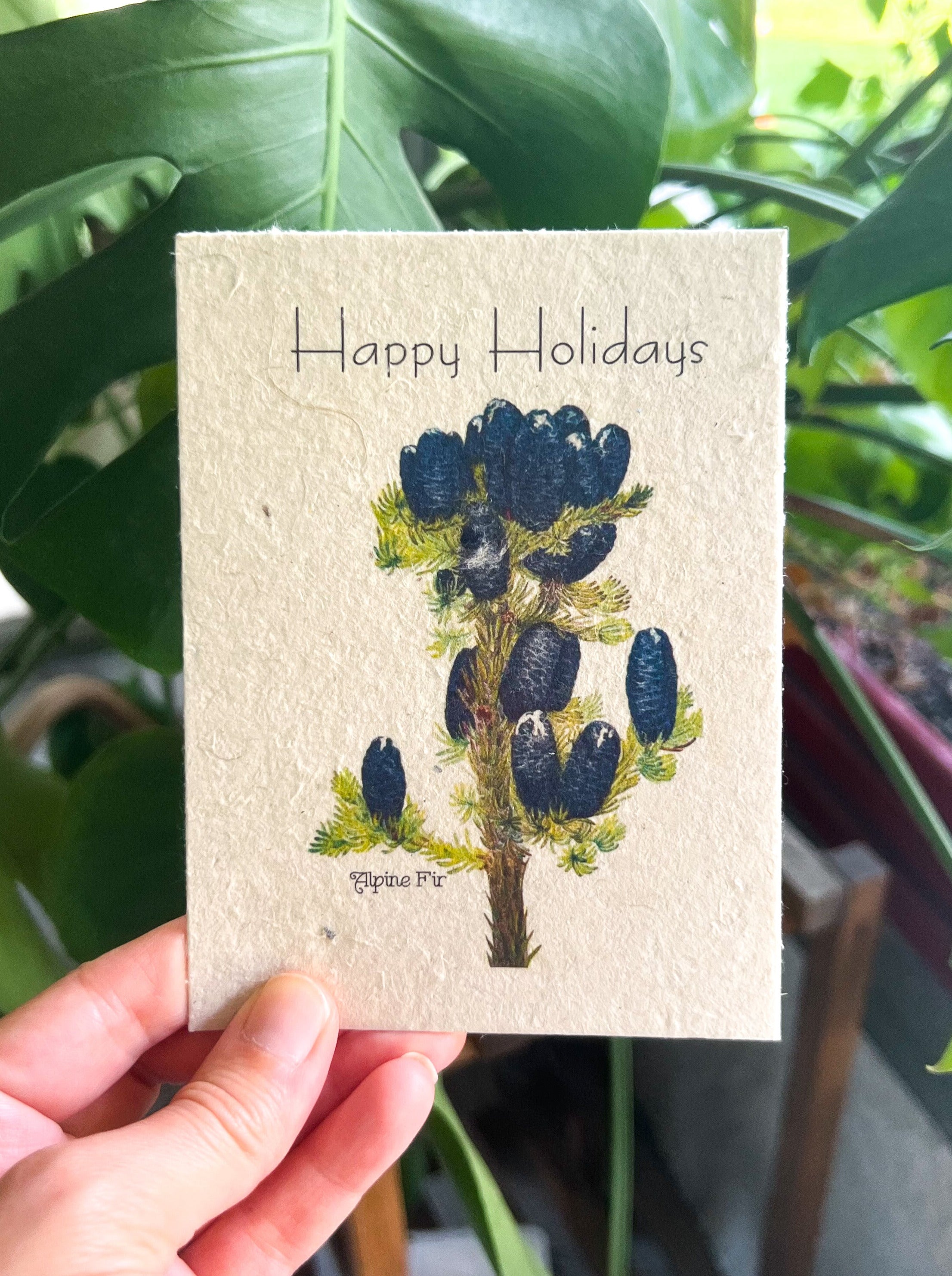 Botanical Plantable Seed Card || Zero Waste || Supports Women || Eco-friendly || MVW54