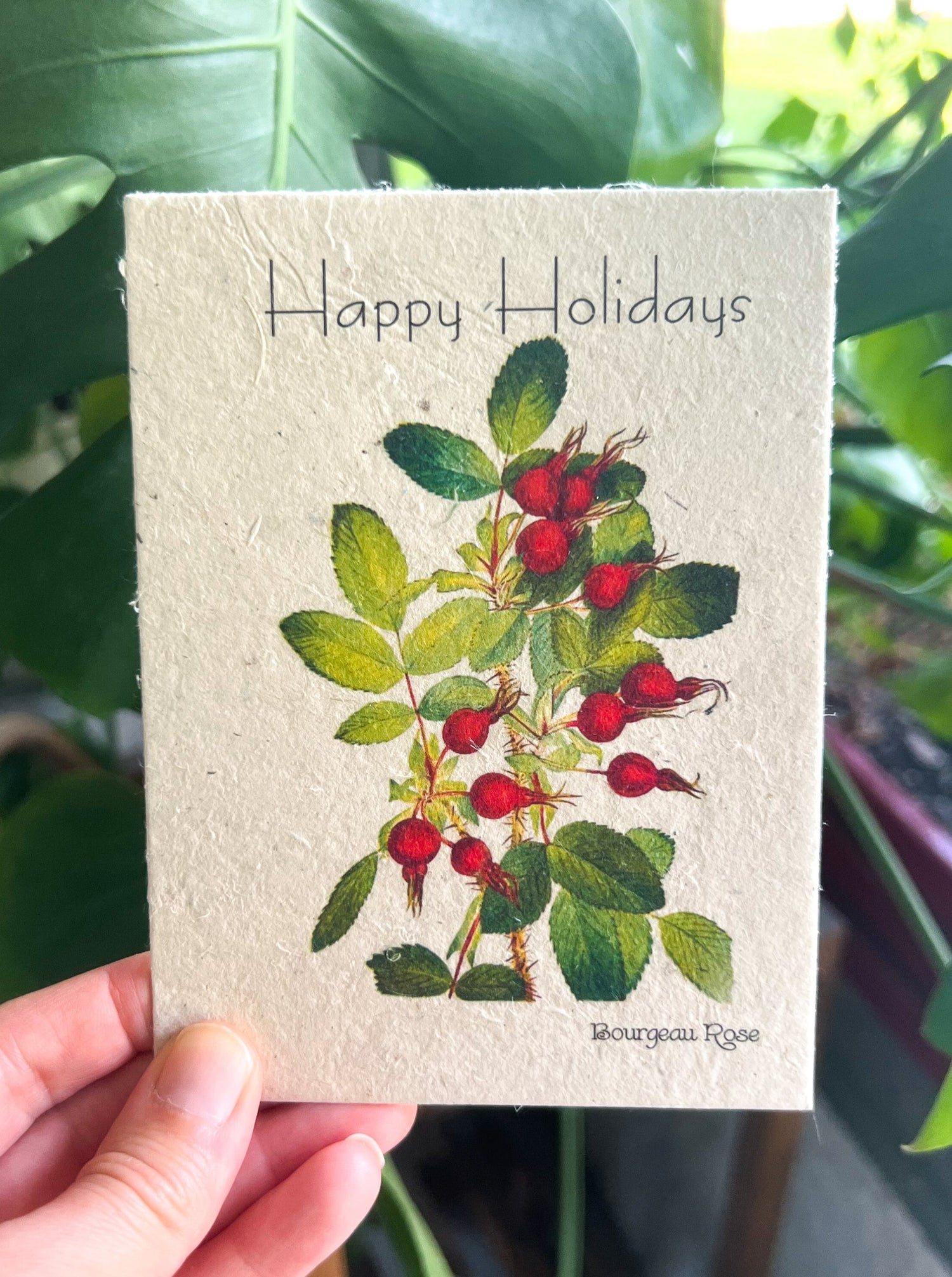 Botanical Plantable Seed Card || Zero Waste || Supports Women || Eco-friendly || MVW55