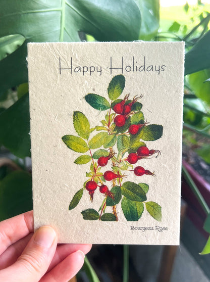 Botanical Plantable Seed Card || Zero Waste || Supports Women || Eco-friendly || MVW55