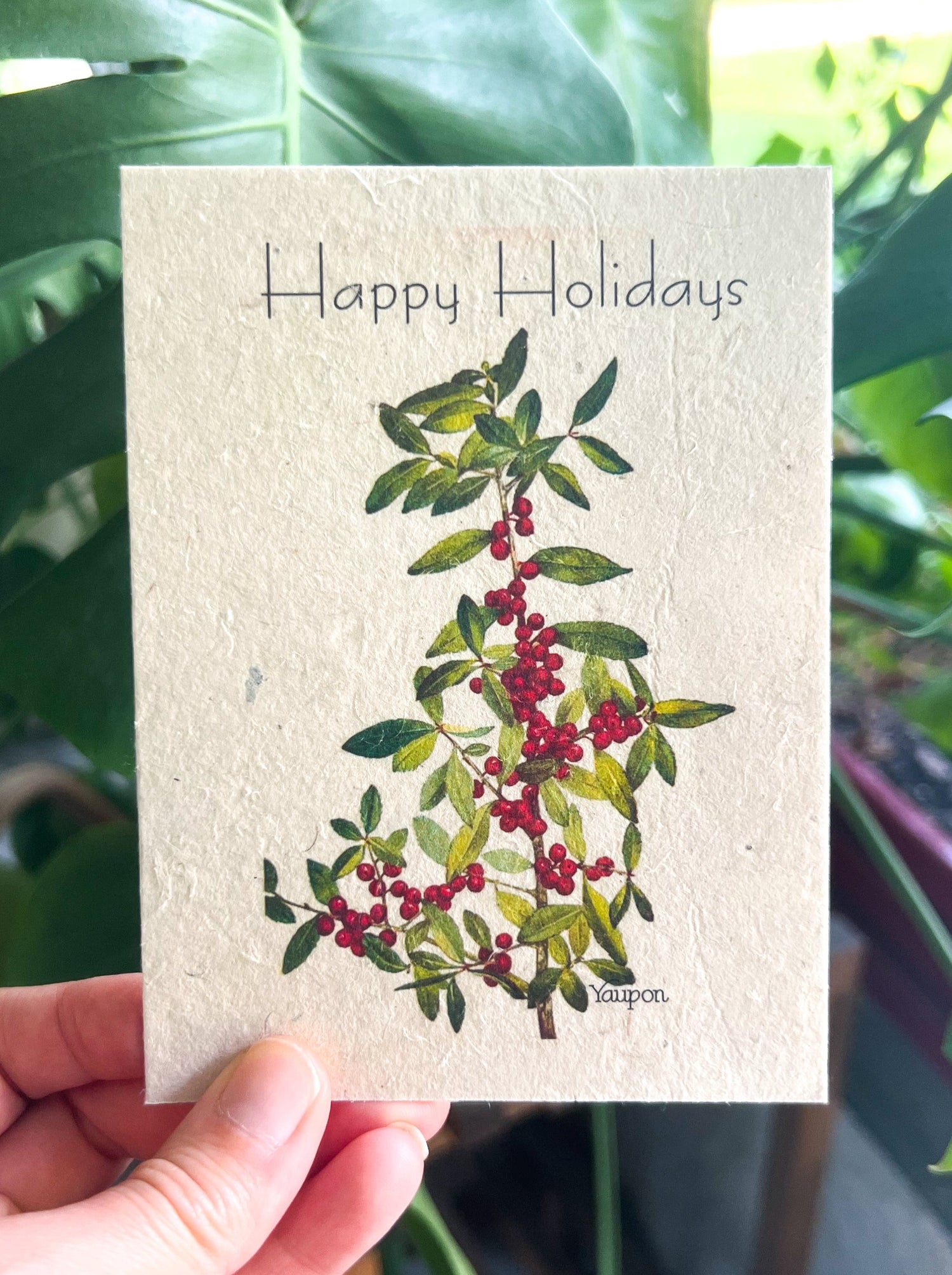 Botanical Plantable Seed Card || Zero Waste || Supports Women || Eco-friendly || MVW59
