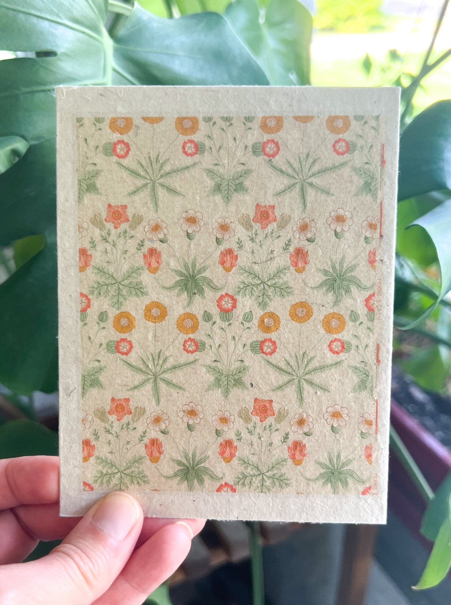 Botanical Plantable Seed Card || Zero Waste || Supports Women || Eco-friendly || MVW71