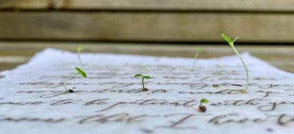 Plantable Vintage Botanical Cards || Wildflower Seed Paper || Northern Butterbur || Supports Women in Nepal || Eco-friendly