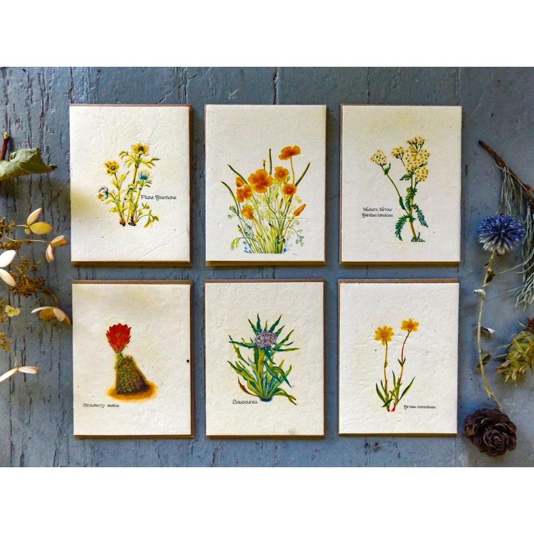 Hand-Drawn Seed Paper Greeting Card by Marissa Kay || Value Pack-2