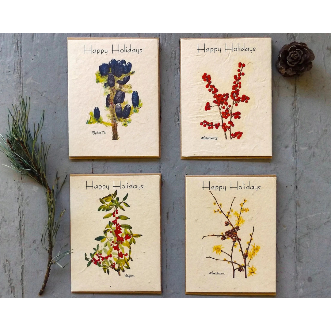 Holiday Plantable Seed Paper Greeting Cards, Value Pack, VPH1