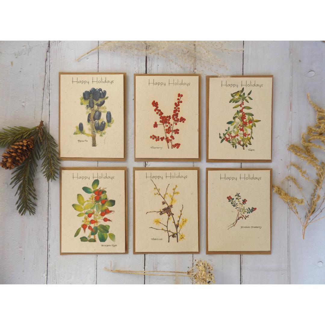 Hand-Drawn Seed Paper Greeting Card by Marissa Kay || Value Pack-Happy Holidays || Value Pack-5