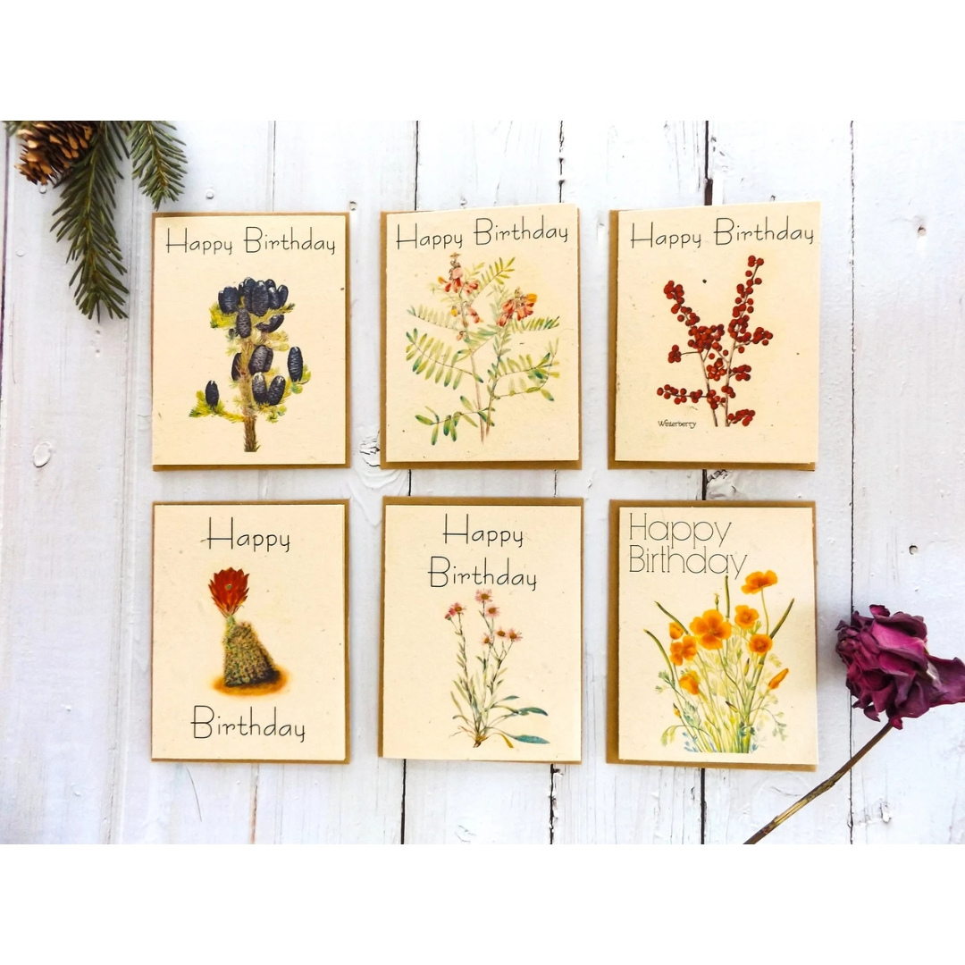 Happy Birthday Plantable Seed Paper Greeting Cards, Value pack, VPHB1