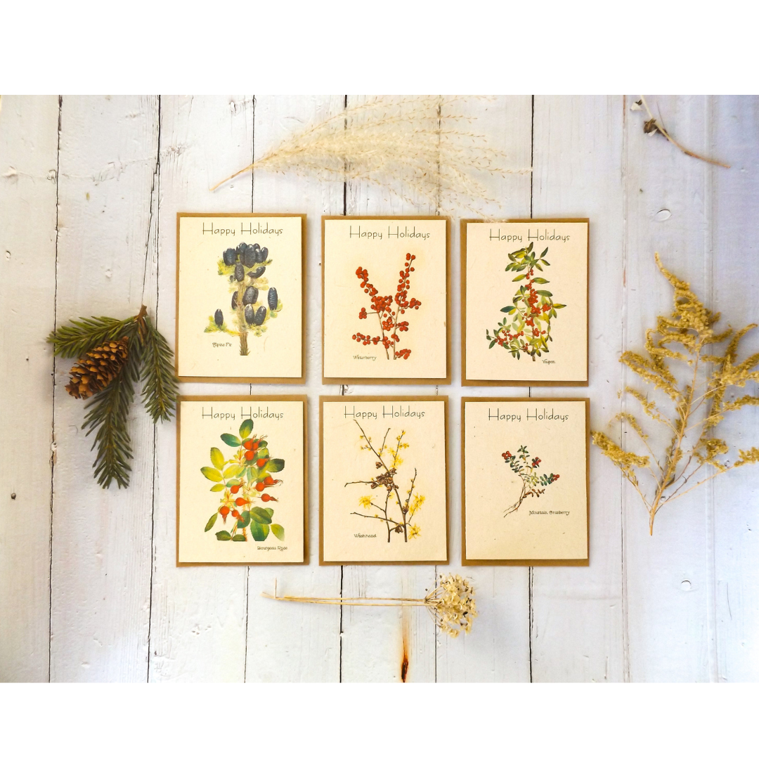 Holiday Plantable Seed Paper Greeting Cards, Value Pack, VPH2