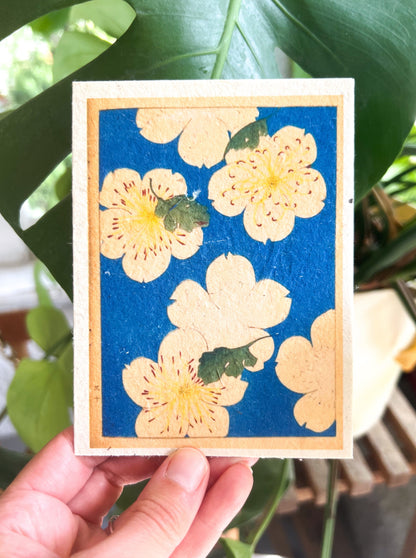 Japanese Plantable Seed Card || Zero Waste || Supports Women || Eco-friendly || J11