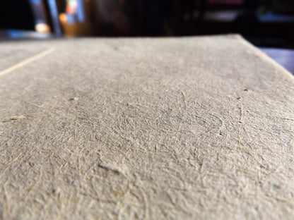 Botanical Plantable Seed Card || Zero Waste || Supports Women || Eco-friendly || MVW61