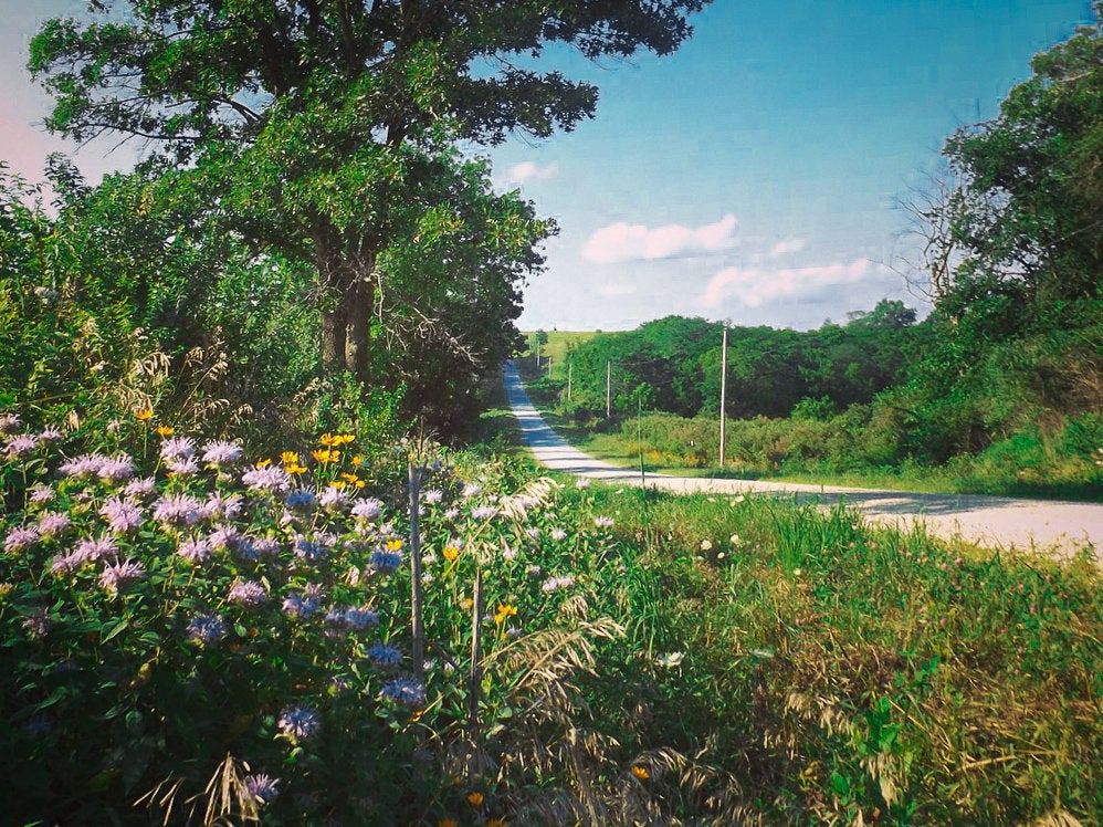 Botanical Plantable Seed Card || Zero Waste || Supports Women || Eco-friendly || MVW61