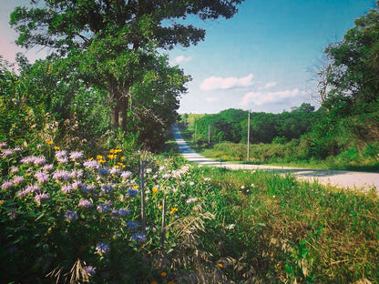 Botanical Plantable Seed Card || Zero Waste || Supports Women || Eco-friendly || MVW61