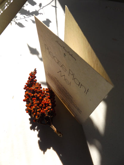 Happy Birthday Plantable Cards || Supports Women In Nepal || Eco-Friendly