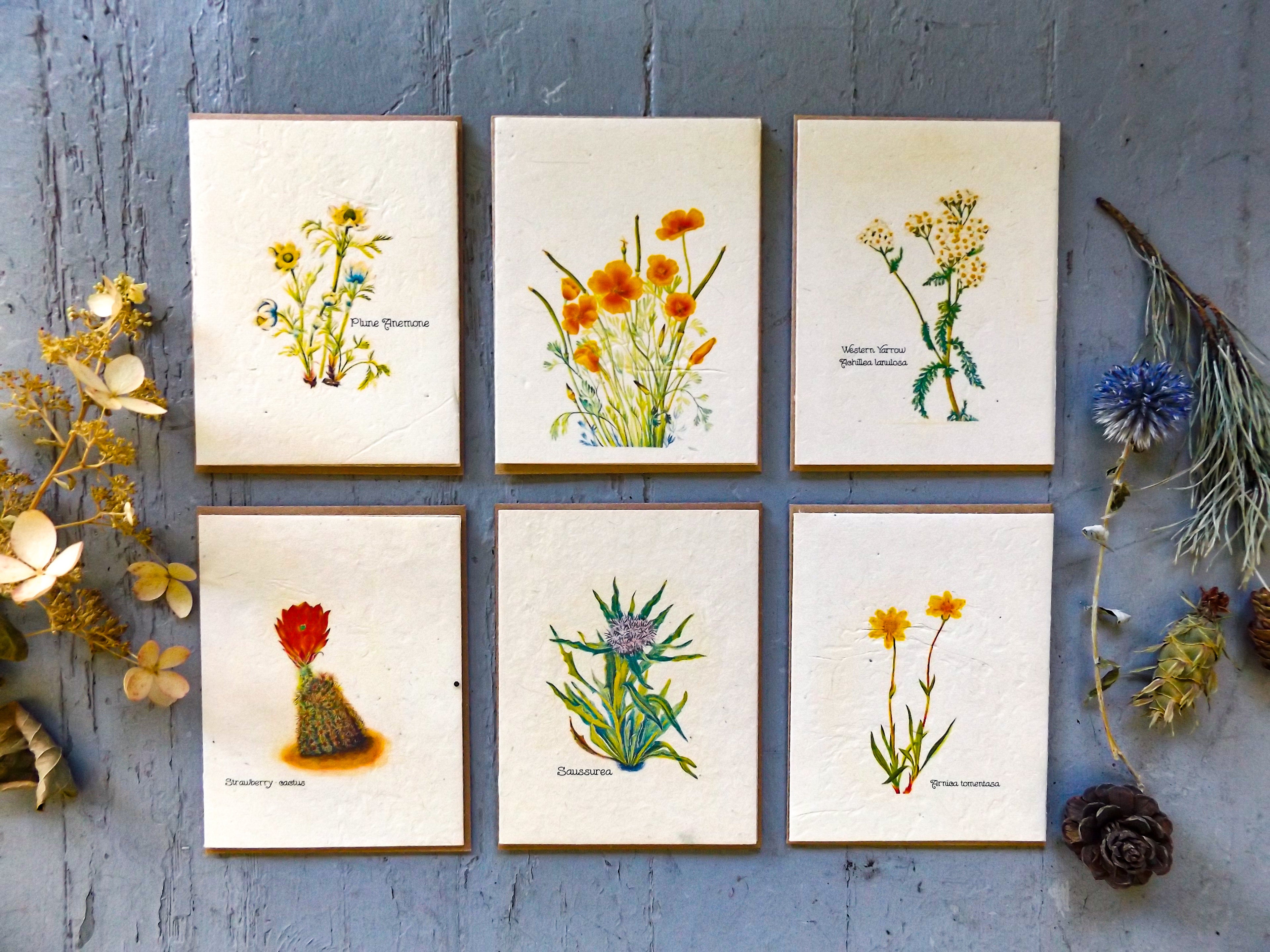 Plantable Seed Cards || Supports Women In Nepal || Wildflower Seed Paper || Eco-Friendly