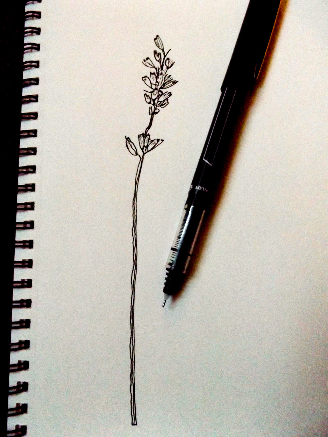 Hand Drawn Plantable Cards || Wildflower Seed Paper || Supports Women || Eco-Friendly