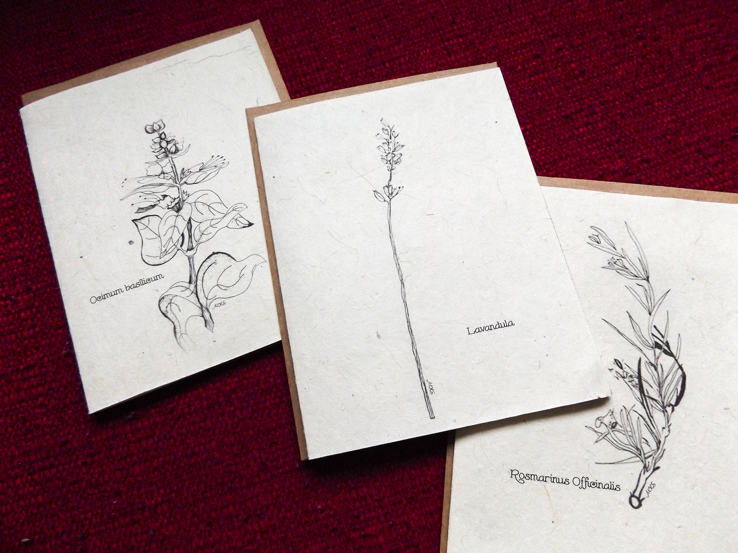 Plantable Seed Paper Greeting Card || Supporting Women In Nepal || Lavender
