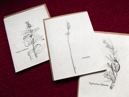 Plantable Seed Paper Greeting Card || Supporting Women In Nepal || Lavender