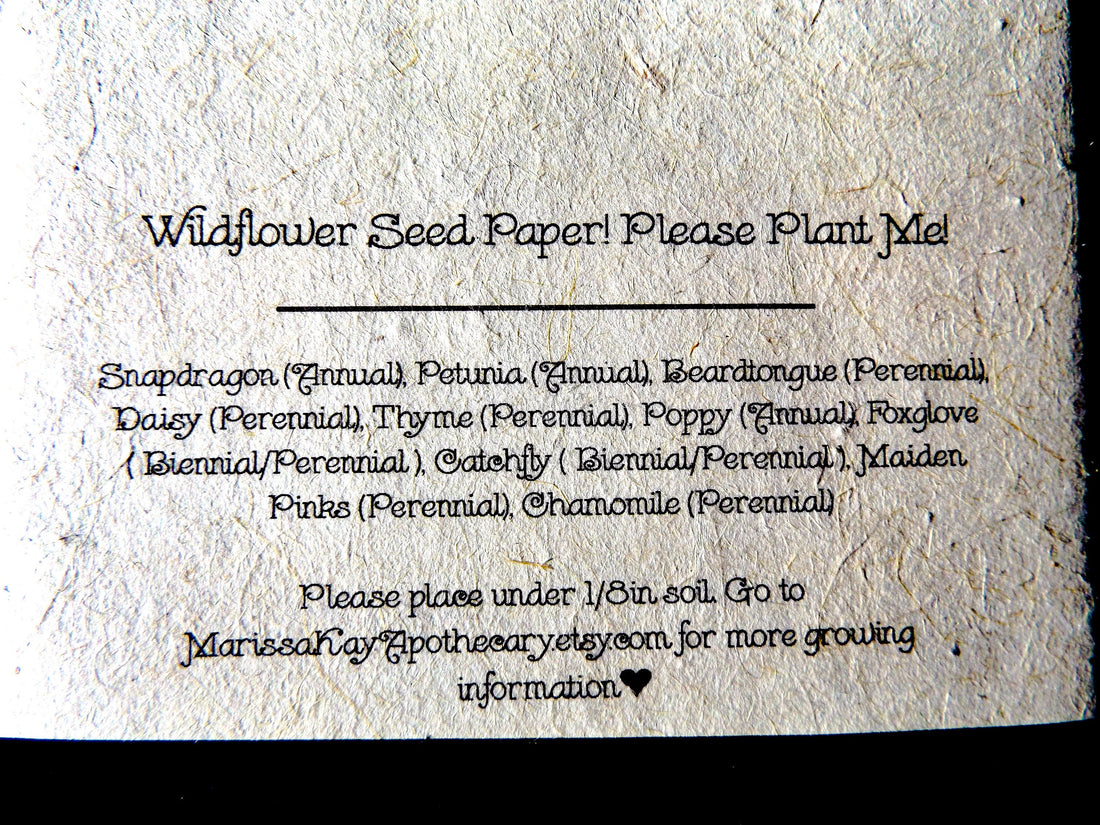 Plantable Vintage Botanical Cards || 6 Pack || Wildflower Seed Paper || Beyond Zero Waste || Woolly agoseris || Eco-friendly || Supports Women