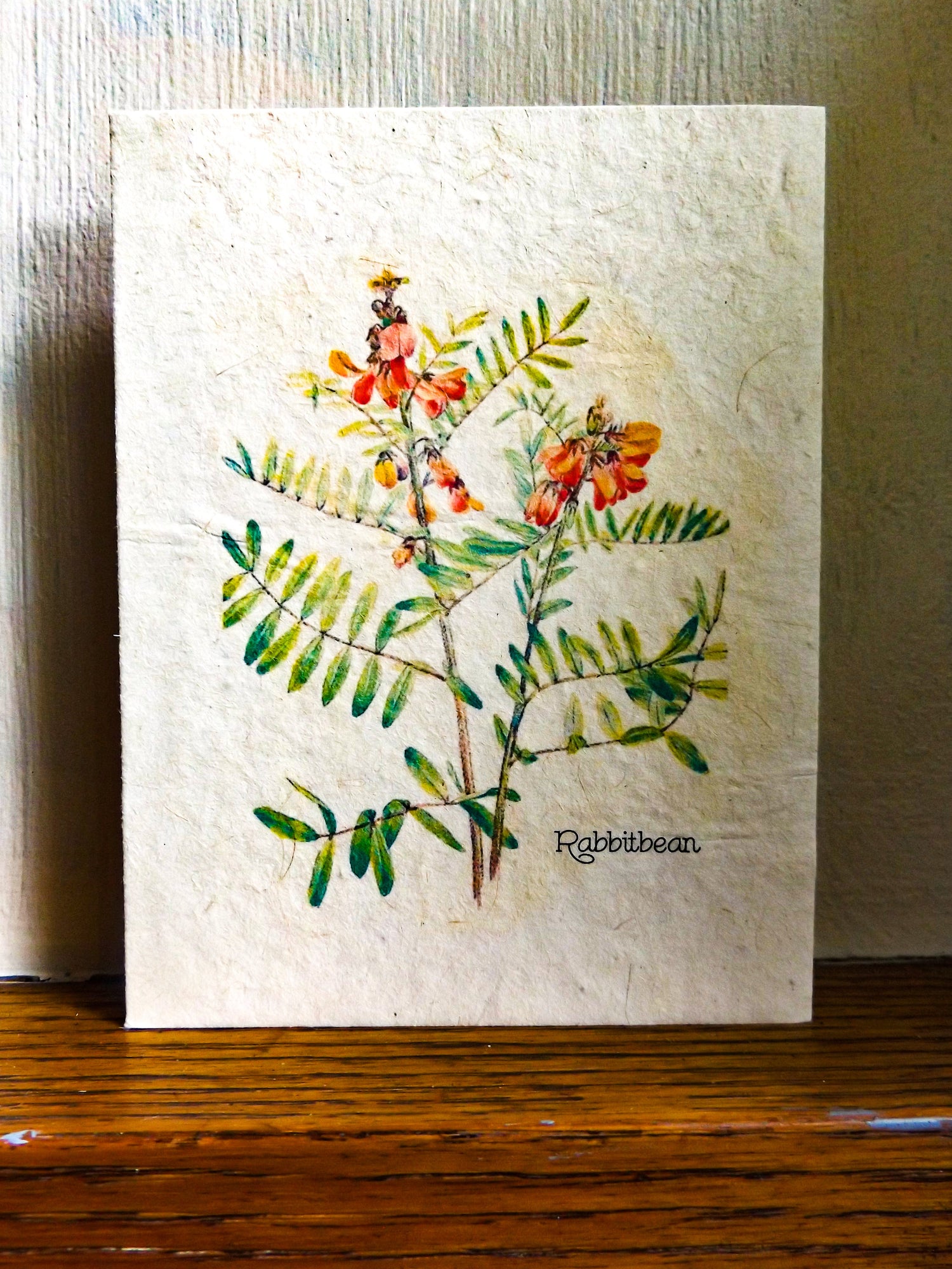 wildflower seed cards Plantable Cards That Will Grow || Wildflower Seed Paper || Supports Wo – Marissa Kay Co