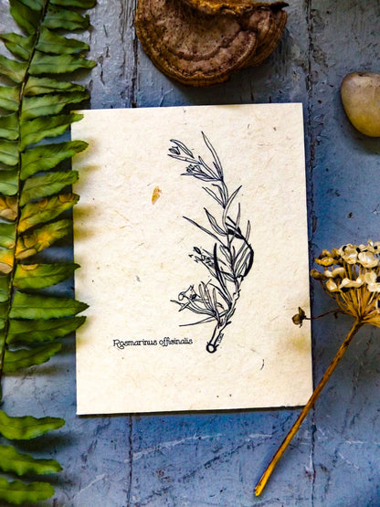 Plantable Seed Paper Greeting Card || Supporting Women In Nepal || Eco-Friendly || Rosemary
