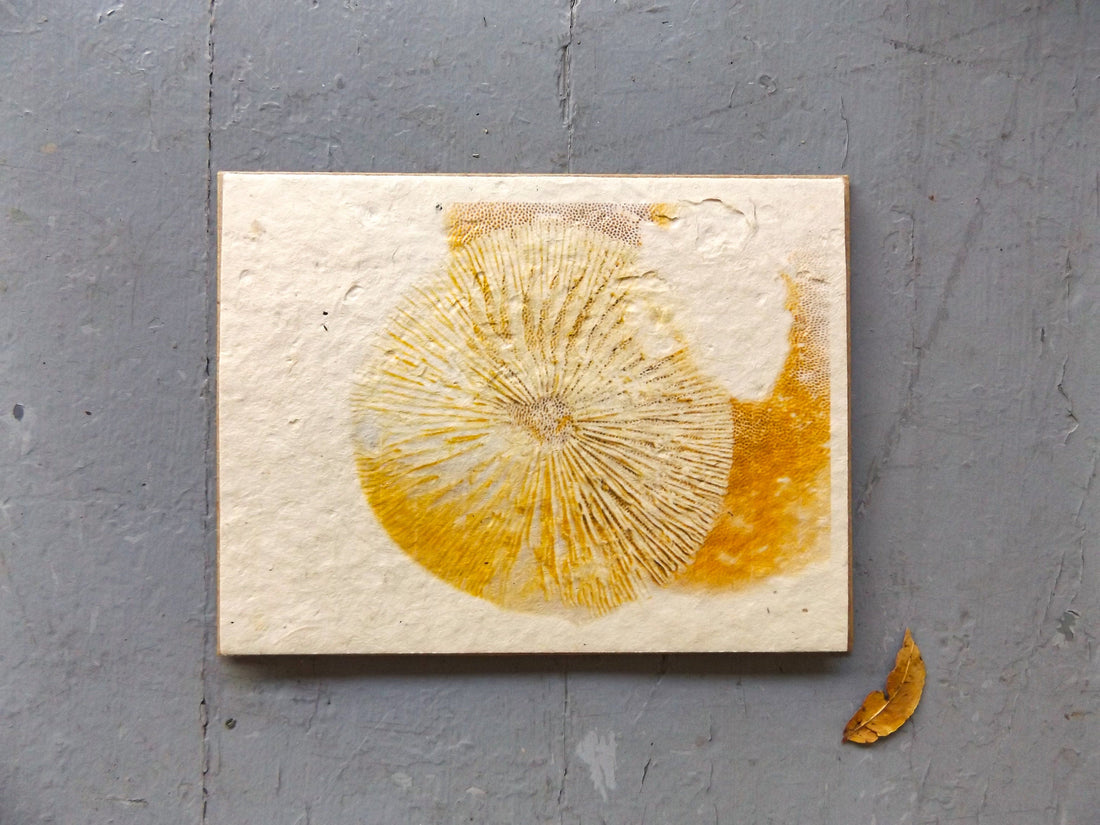 Plantable Seed Cards || Wildflower Seed Paper || Eco-Friendly || Supports Women In Nepal