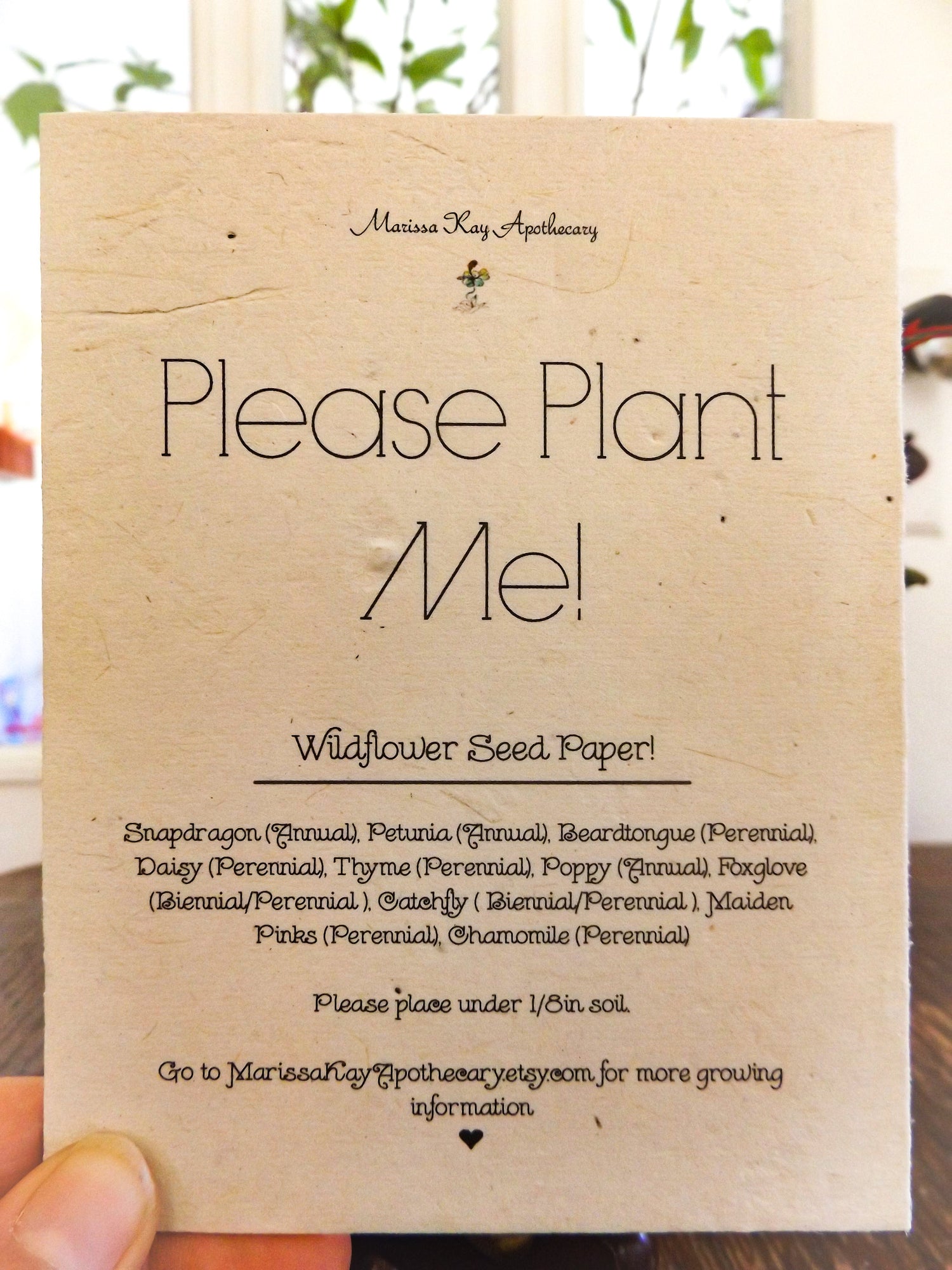 Happy Birthday Plantable Seed Card || WIldflower Seed Paper || Supports Women || Eco- Friendly
