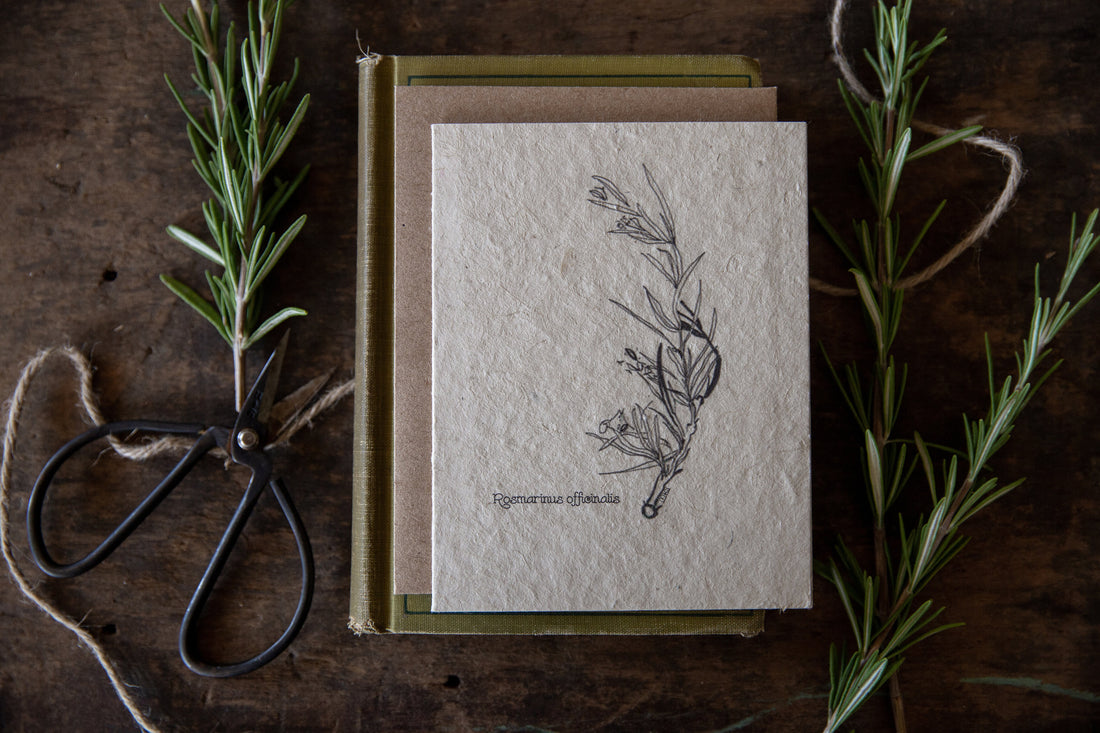 Plantable Seed Paper Greeting Card || Supporting Women In Nepal || Eco-Friendly || Rosemary